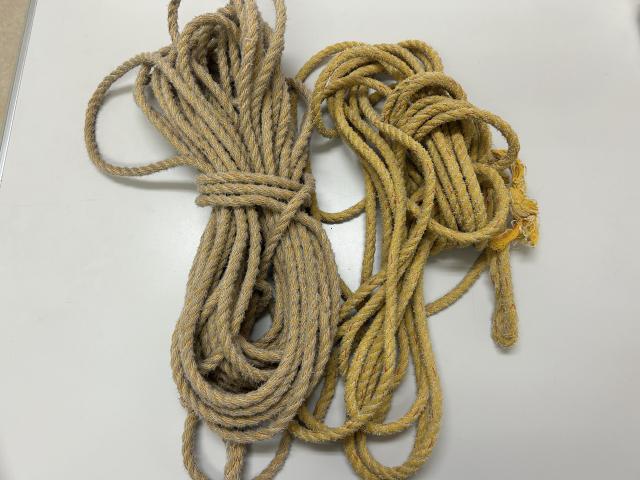 記事の画像2枚目