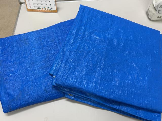 記事の画像3枚目