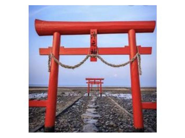 記事の画像3枚目